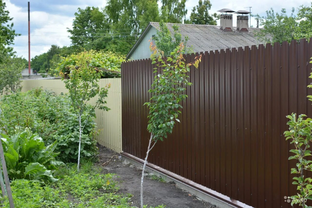 Лучший забор из профлиста. Заборный профлист. Красивый забор из металлопрофиля. Забор из профнастила c20. Красивый современный забор.