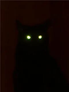 Night eye light