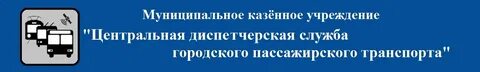 Муниципального казенного учреждения центр муниципальных услуг