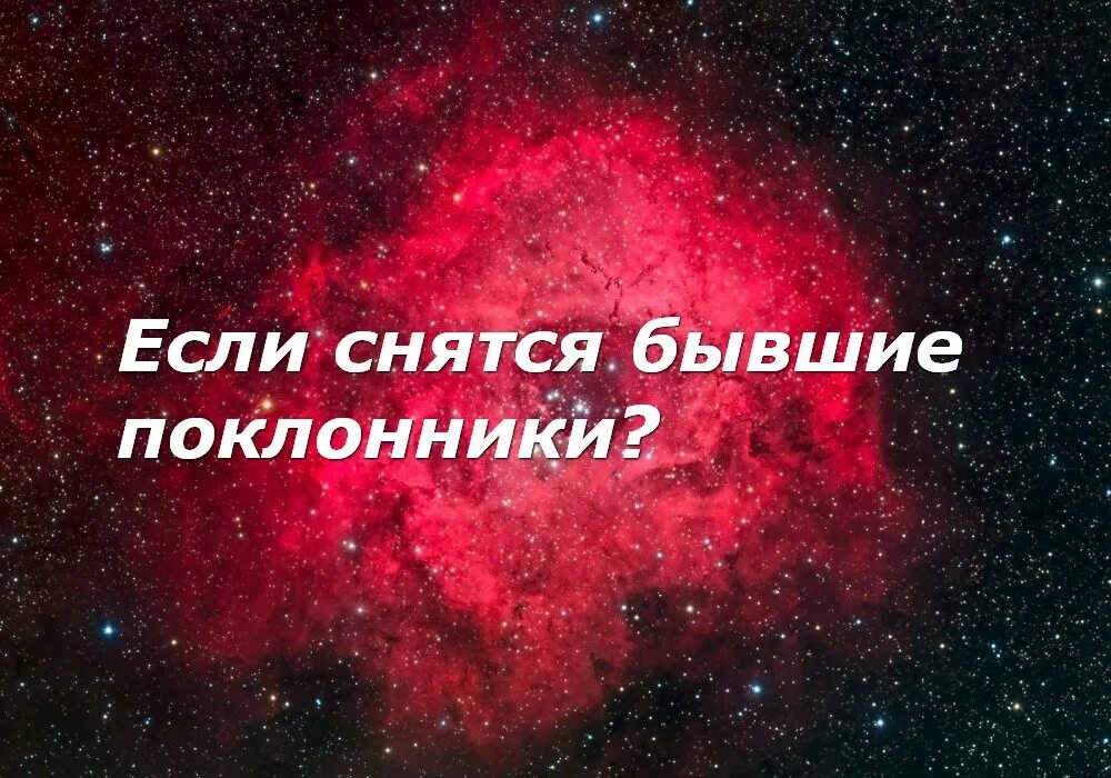 К чему снится жена. Стихи на тему спасибо маме говорю. Сонник новая жена. Сонник новая жена. К чему снятся бывшие мужья.