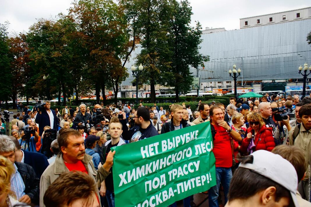 Чирикова химкинский лес. Проект 7 класс я против вырубки леса. Химкинский лес протесты. Конфликт вокруг химкинского леса. Конфликт вокруг химкинского леса.