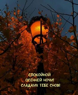 Открытки добрый осенний вечер и спокойной ночи