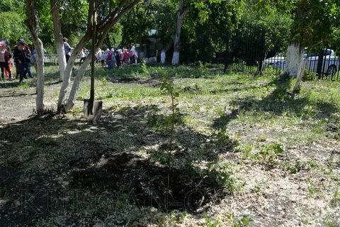 4 сад курган