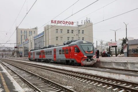 Воронеж белгород поезд