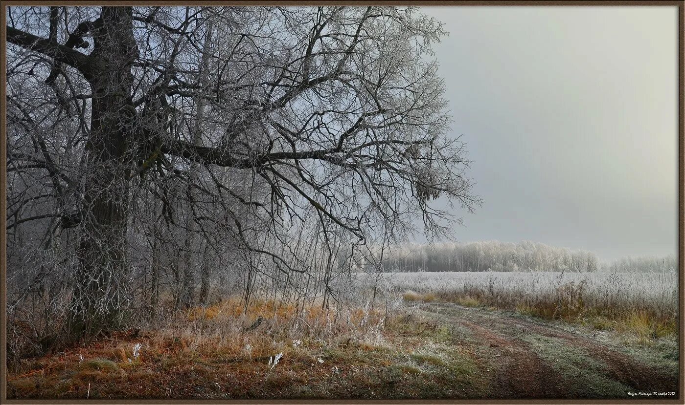 Поздней осени какое число. Поздняя осень. Поздняя осень пейзаж. Серая осень. Поздняя осень ноябрь.