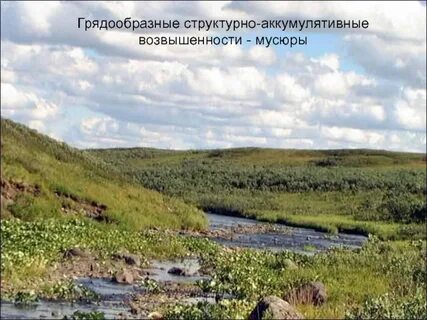 Тундра русской равнины