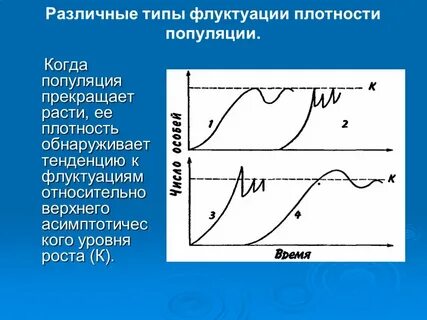 Флуктуация