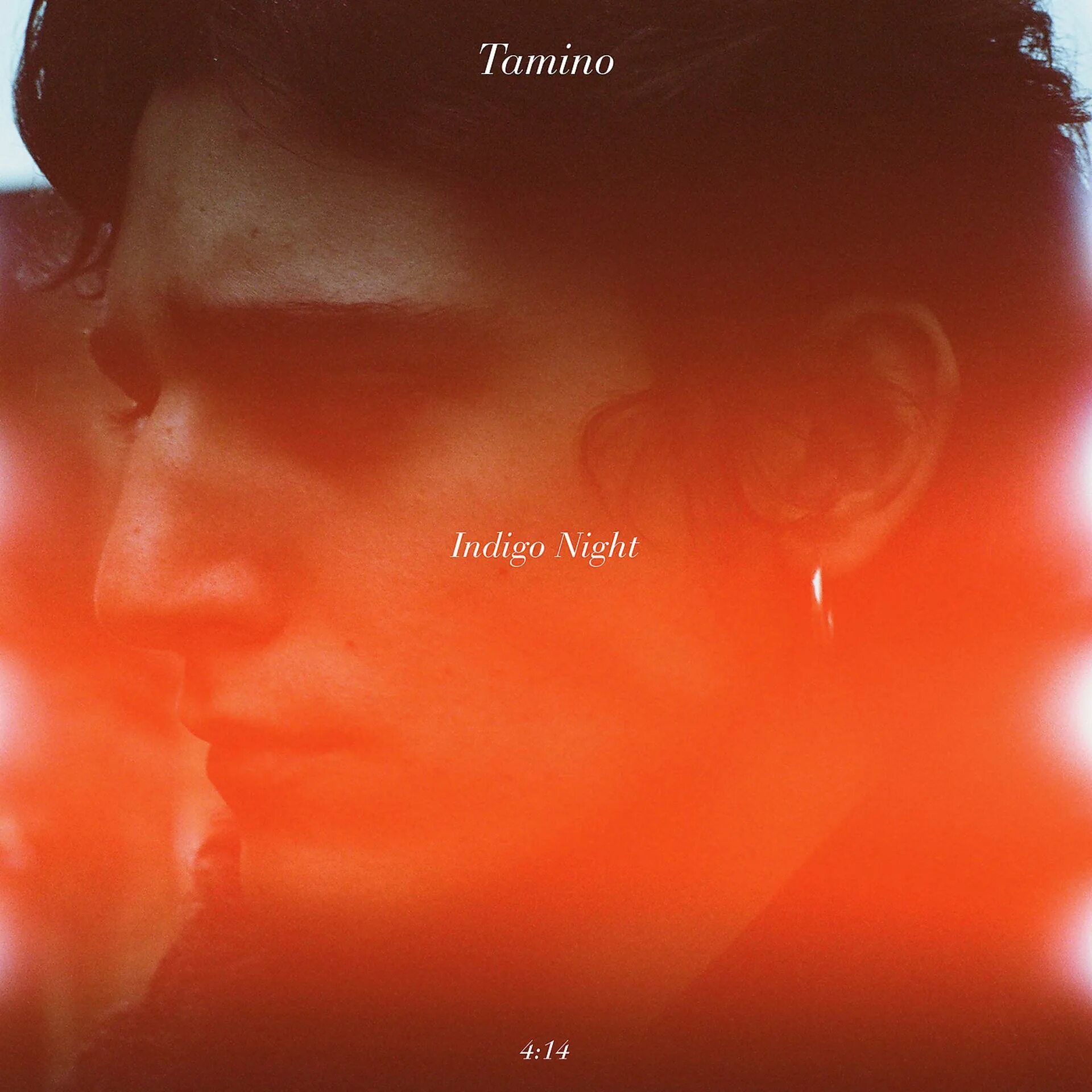 Tamino Ep. Tamino - Habibi album. Tamino Indigo Night.