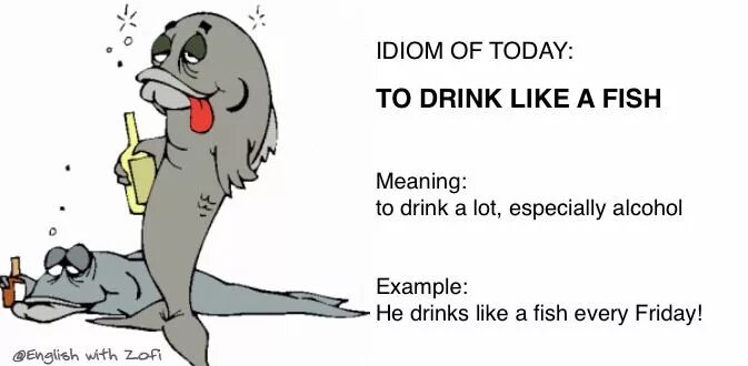 Fish idioms. Идиома Fish. Drink like a Fish. Drink like a Fish перевод идиомы. I like to be a fish