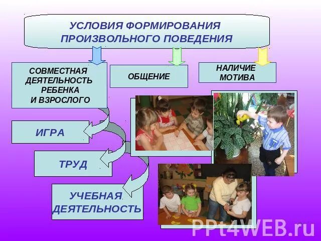 Формирование социального поведения дошкольников. Формирование произвольного поведения. условия формирования произвольного поведения дошкольников. каковы педагогические условия формирования произвольного поведения?. произвольное поведение дошкольников.
