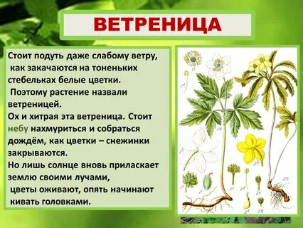 Тест весеннее пробуждение растений 2 класс