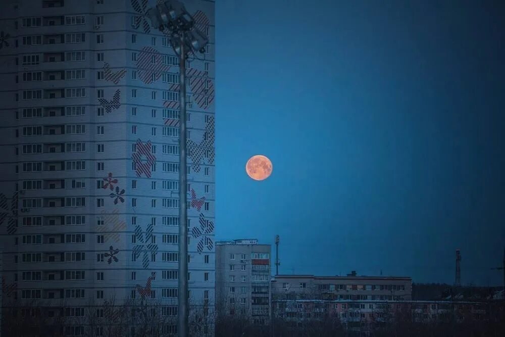 Затмение 28 октября 2025 в каком градусе