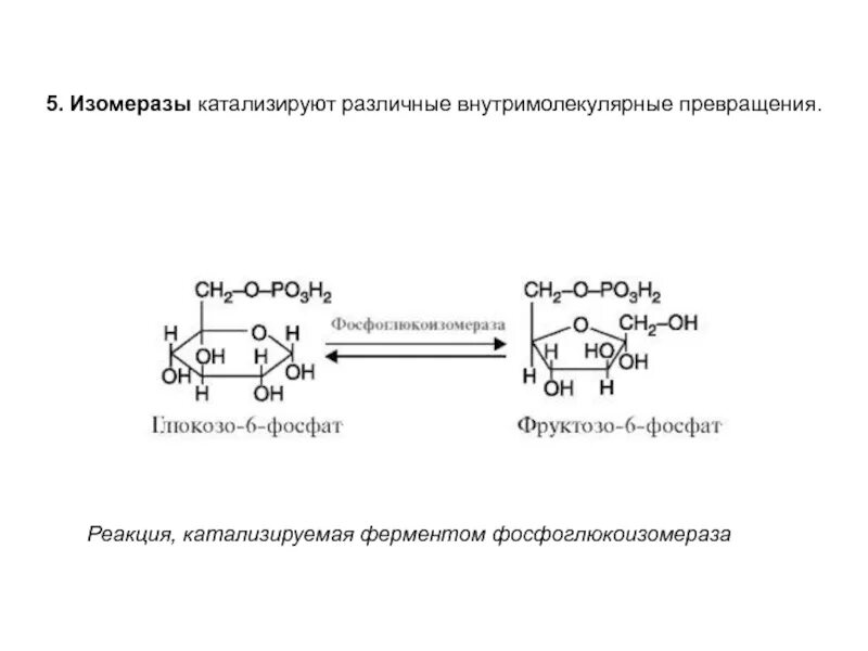 Химическая реакция катализируемая ферментом. Схема реакции которую катализирует амилаза. Изомеразы общая схема реакции. Реакция катализируемая амилазой. Какую реакцию катализирует амилаза схема.