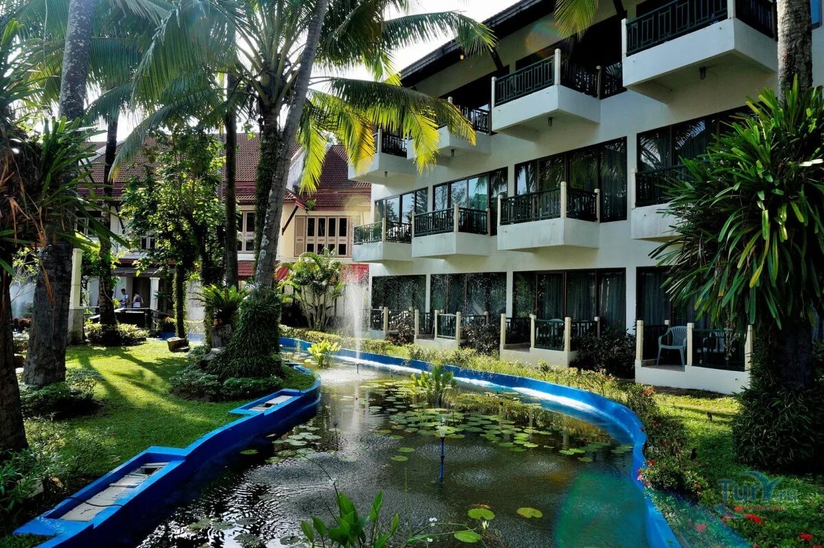 Пхукет банг тао бич амор. Пхукет банг тао бич амор. Тайланд отель амора бич. Amora beach resort 4*. Пхукет таиланд амора бич.