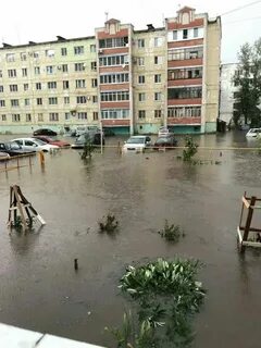 Погода в димитровграде на ноябрь