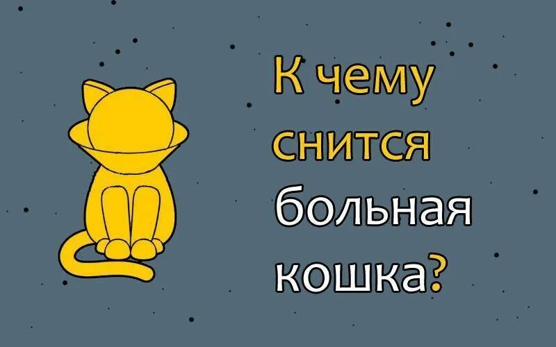 Сонник больная кошка