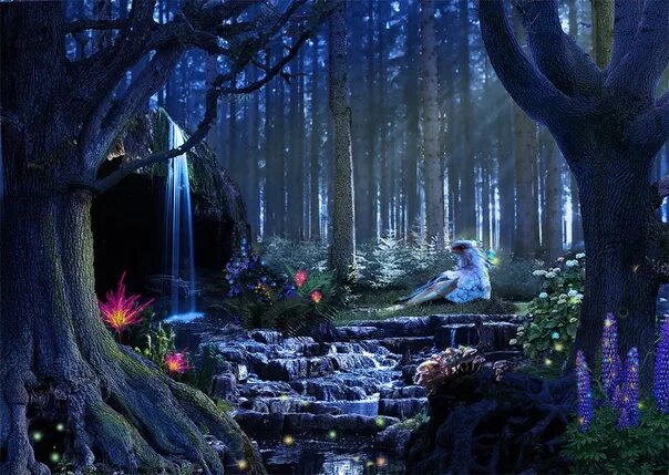 Зачарованный лес (чудесный лес) (1986). «Зачарованный лес» («Enchanted Forest»). Броселиандский лес Зачарованный лес Моруа.