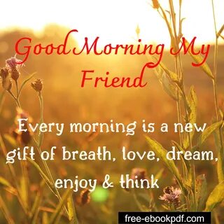 Morning friends