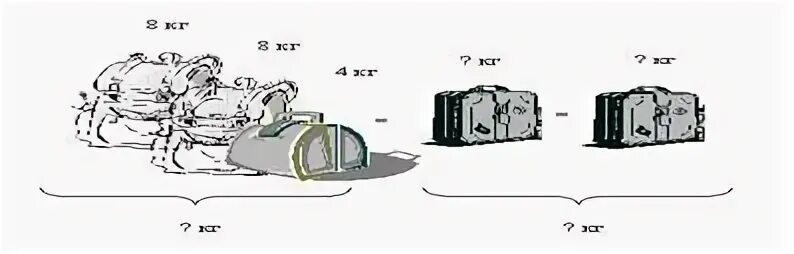 Масса двух чемоданов 20 кг