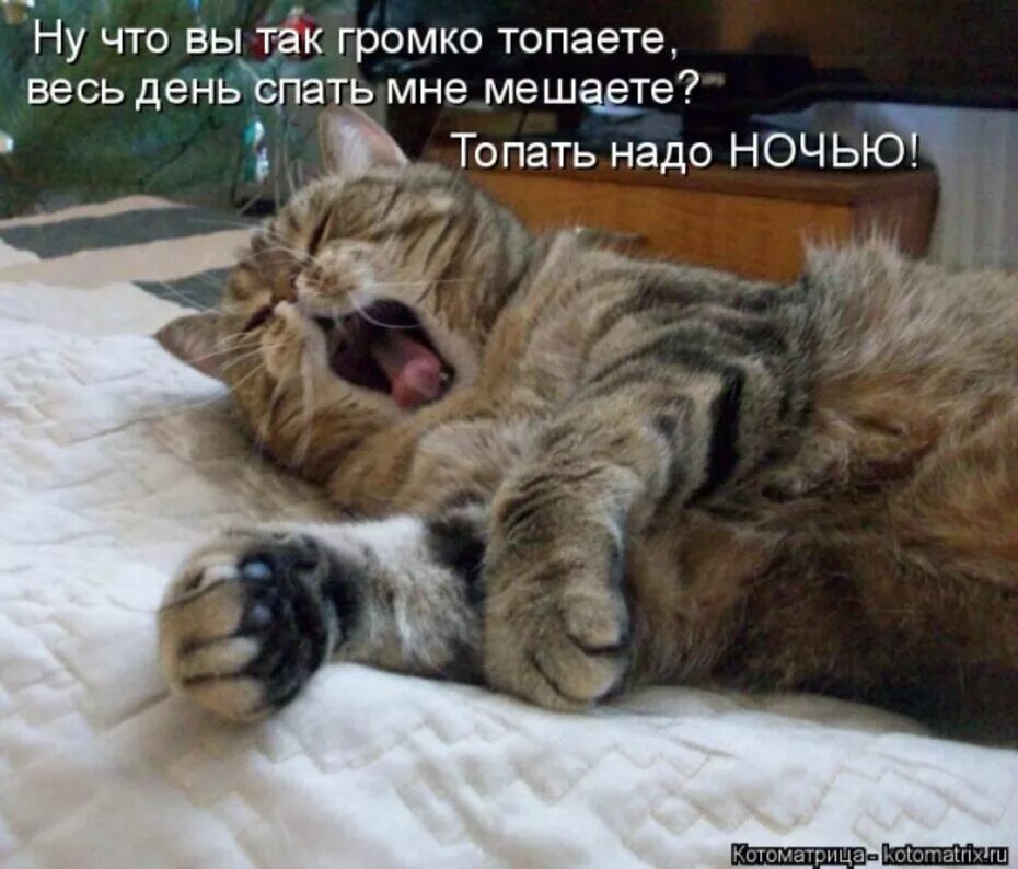Спала никому не мешала
