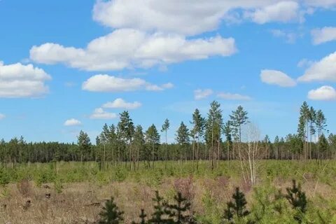 Забайкальский гидрометцентр