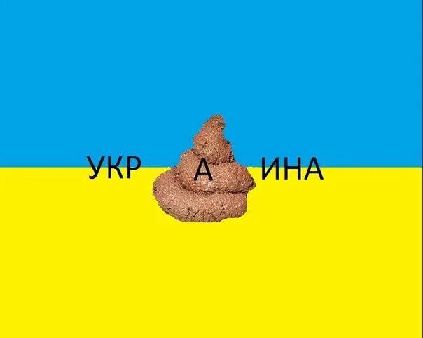 Алиса эй хохлы. УКРАТНИ говно. Насрали на украинский флаг. Какашка на украинском флаге.