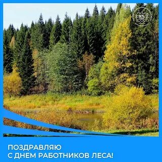 День лесной промышленности в 2024
