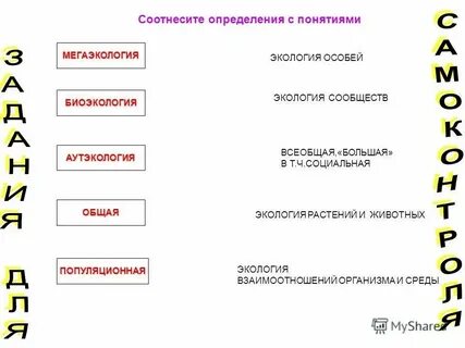 Какие нормы нельзя соотносить с социальными