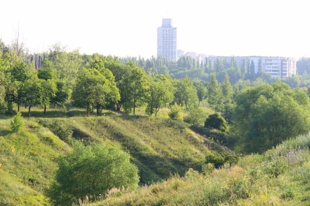 Каменный лог. Каменный лог липецк. липецк урочище каменный лог. парк каменный лог в липецке. каменный лог липецк проект.