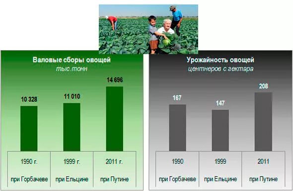 Статистики растениеводства. Валовый сбор в центнерах. Валовый сбор продуктов растениеводства. Валовый сбор овощей в мире.