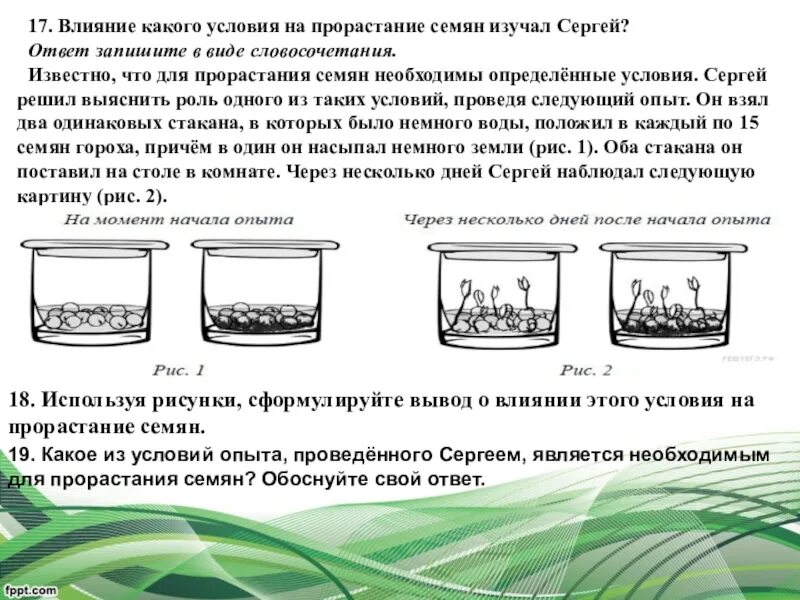 Известно что прорастание семян необходимы определенные условия. Влияние воды на прорастание семян опыт. влияние воздуха на прорастание семян. влияние почвы на прорастание семян опыт. опыт влияние температуры воздуха на прорастание семян.