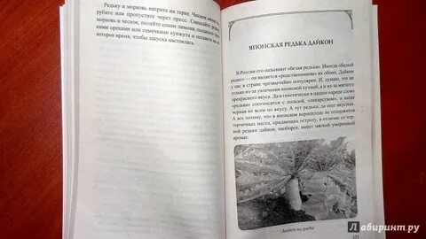 Неумывакин причина