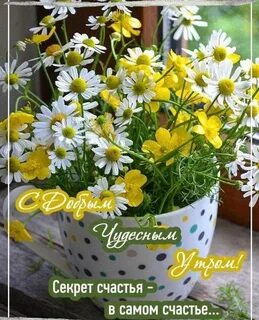 С добрым утром картинки с полевыми