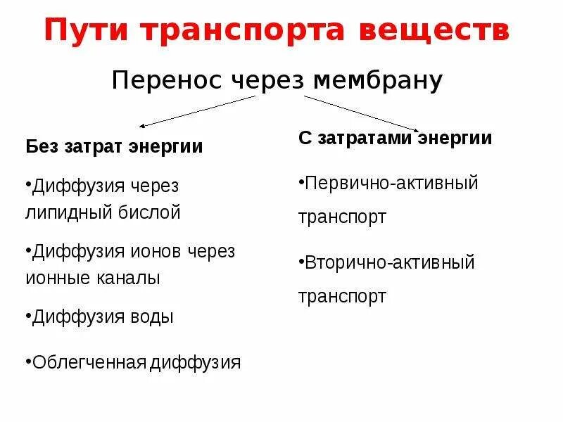 Пути переноса веществ через мембраны. Передвижение веществ у животных таблица. Способы переноса веществ через мембрану. Транспорт веществ у животных. Органы передвижения веществ