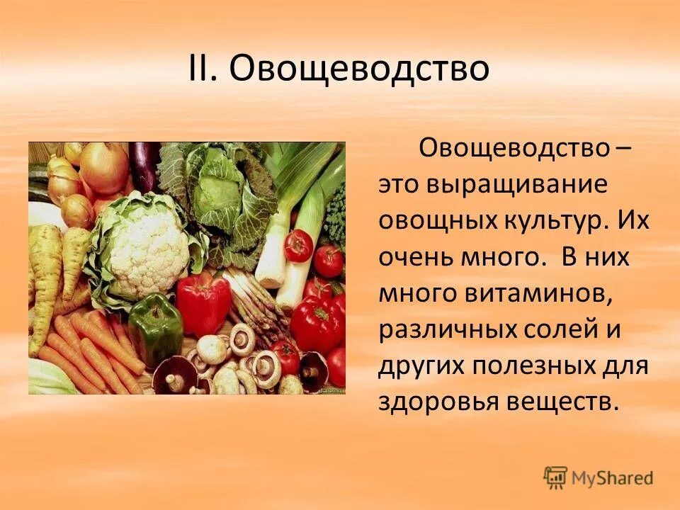 Презентация 4 класс растениеводство в нашем крае