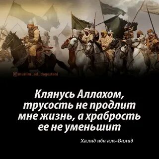 Трусость не продлит мне жизнь