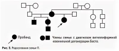 Родословная пробанд схема. Родословные задачи по генетике пробанд. Пробанд это. Пробанд это. Тип наследования и генотип пробанда.