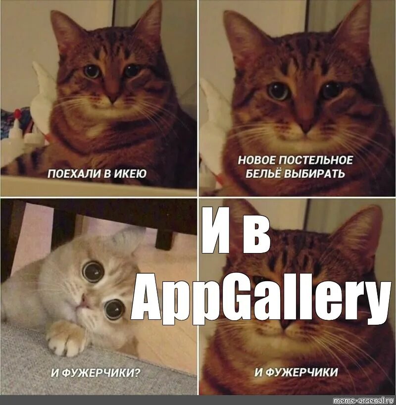 This Cat Is So Expressive, There’s No Need To Even Describe Her Emotions As They