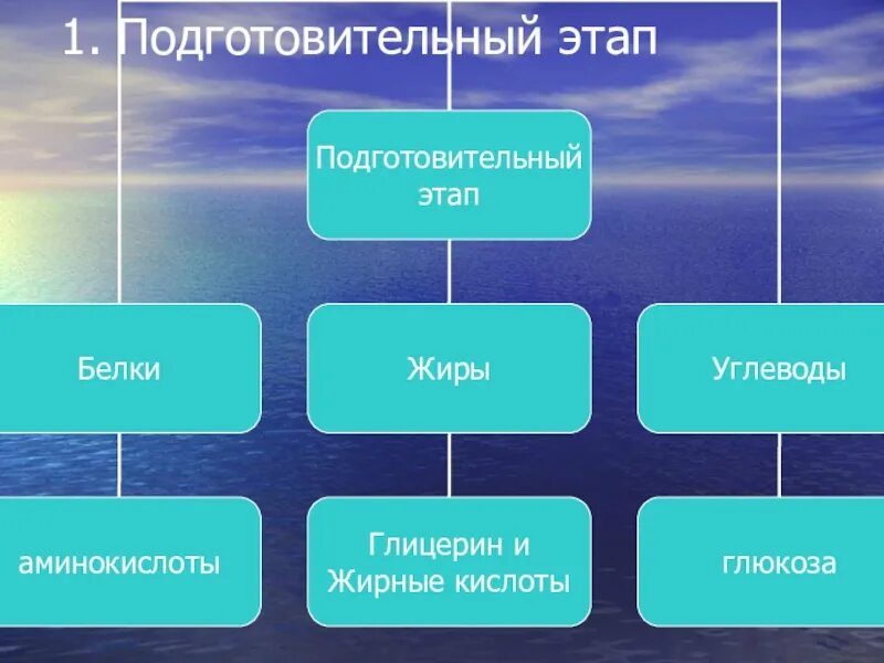 Время подготовительного этапа. Подготовительный этап биология. Презентации этапы слайды. Подготовительный этап картинка. Подготовительный этап проекта картинки.