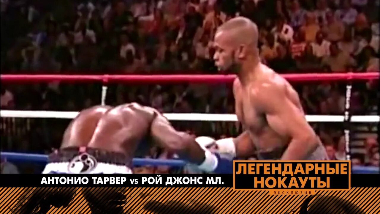 Рой младший нокауты. Рой джонс антонио тарвер. антонио тарвер рой джонс 2-й бой. рой джонс антонио тарвер нокаут. бой рой джонс хопкинс 1 бой гендлин.