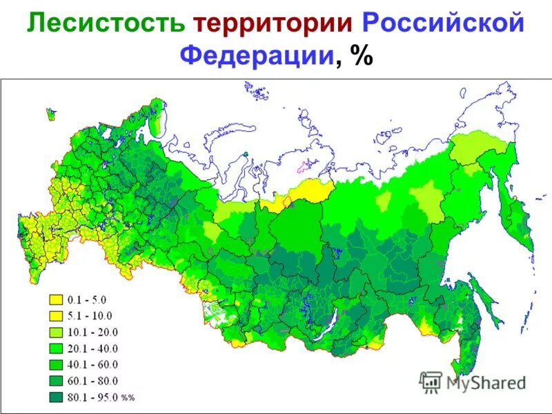 карта военных округов рф 2021. военные округа рф 2021 список. территория превышающая регион. самая большая республика в россии по площади. карта лесистости территории россии.