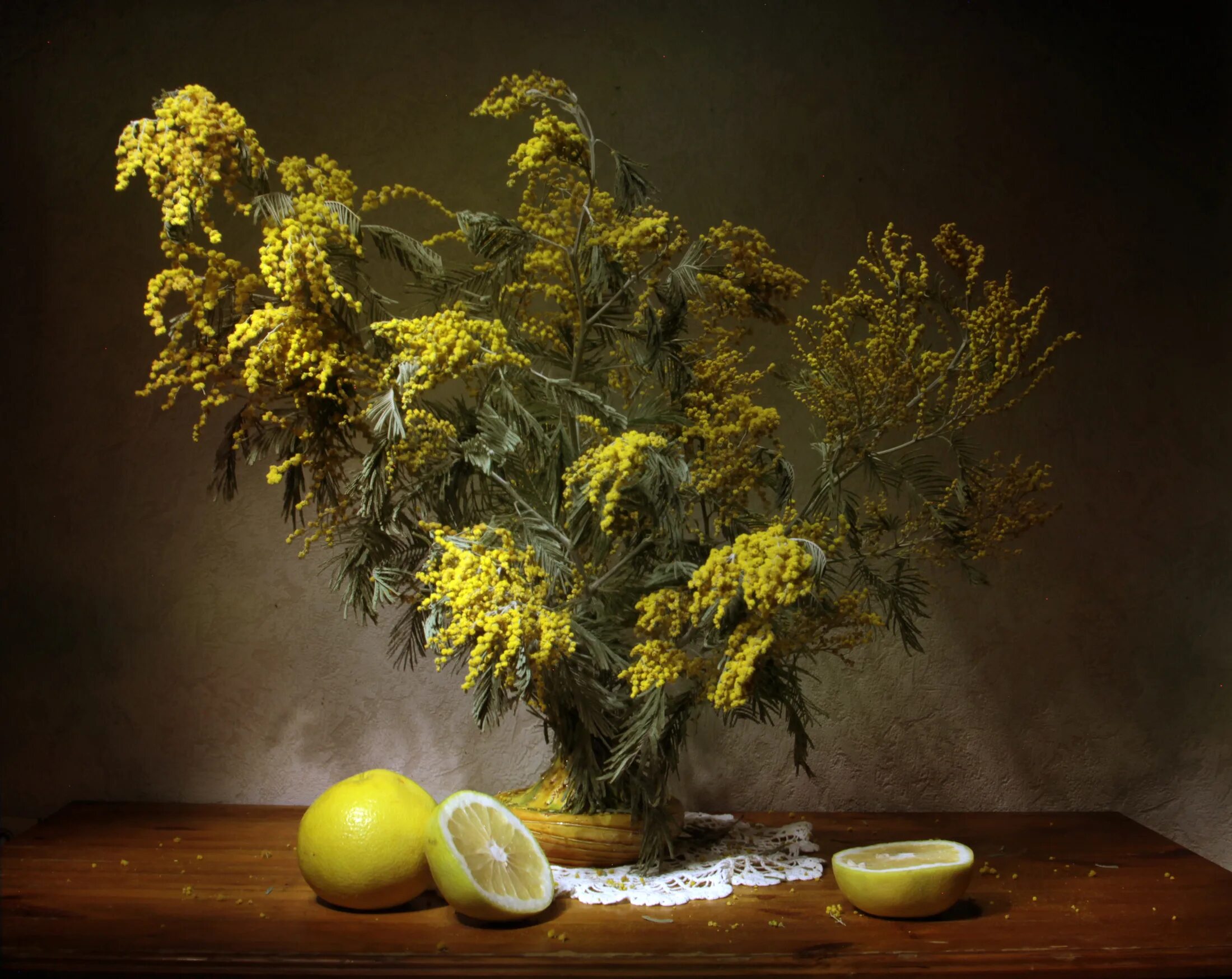 Натюрморт с мимозой. Мимоза и лимон. Цветы Мимоза лимон. Фотонатюрморты с мимозой.