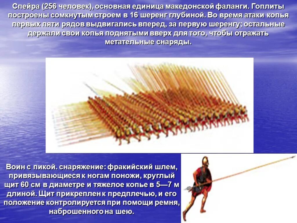 Объясните слово фаланга. Македонская фаланга описание 5 класс. Македонская фаланга древняя Греция. Македонская фаланга Строй. Македонская фаланга 256 человек.