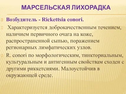 Возбудитель лихорадки