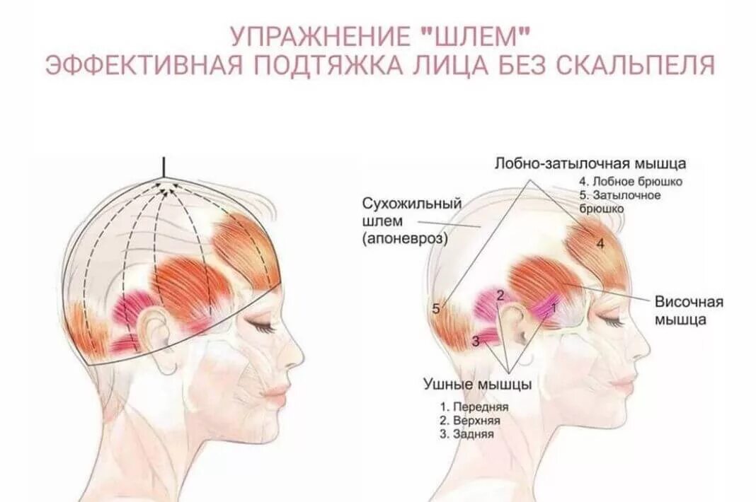 Массаж апоневроза головы