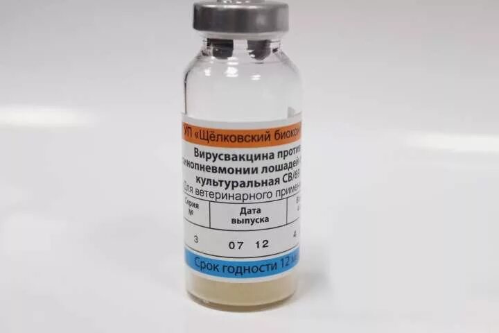 Вакцина св 69 для лошадей. Св 69 вакцина. Вакцинация лошадей против ринопневмонии. Вакцина против ринопневмонии лошадей. Вирусвакцина против ринопневмонии лошадей сухая культуральная св/69.