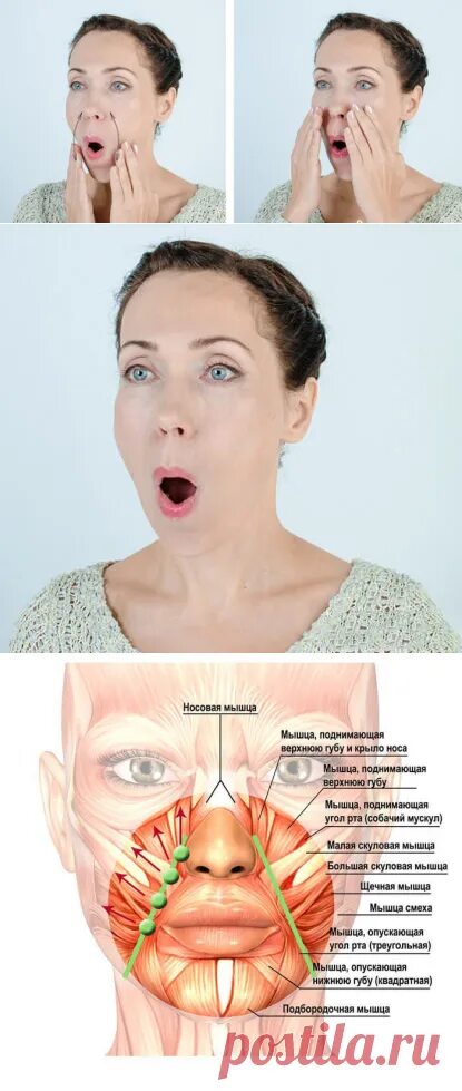 Поднять уголки губ упражнения. Упражнения для поднятия уголков рта. Поднять уголки губ упражнения. Поднять уголки губ упражнения. Гимнастика для губ для поднятия.