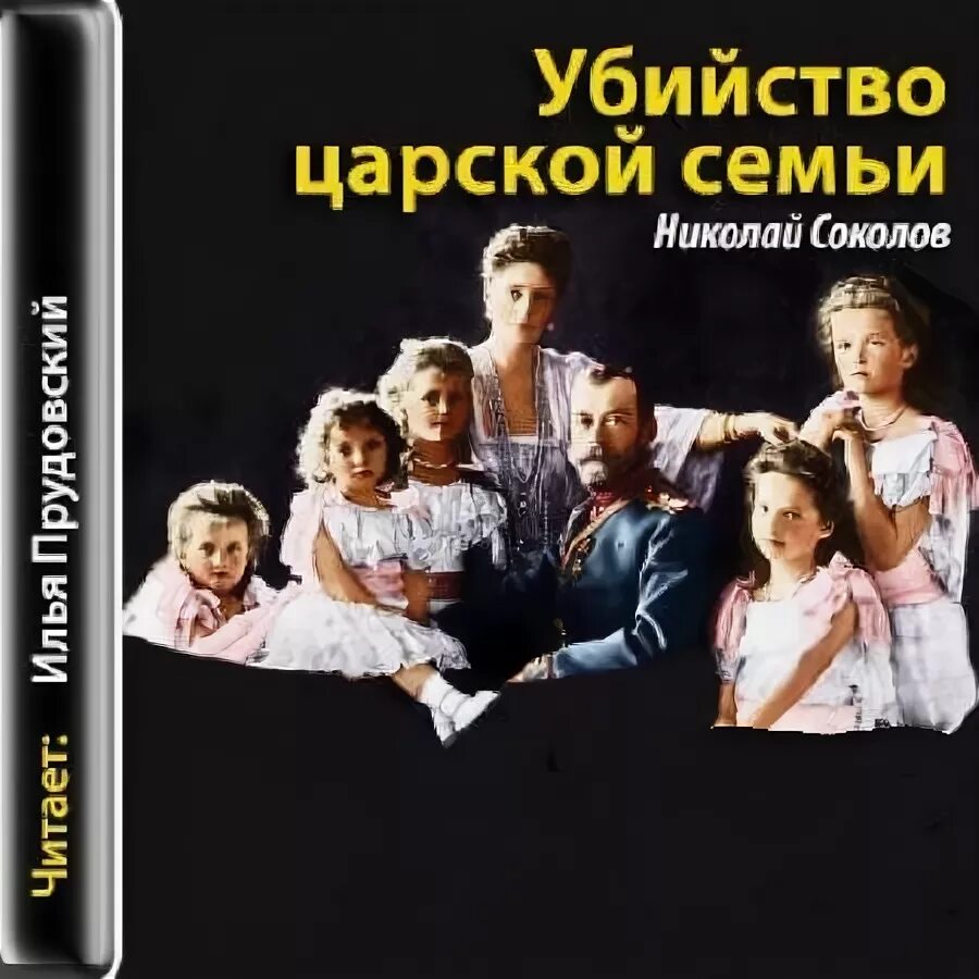 Большая семья аудиокнига. Емец большая семья. Большая семья аудиокнига. Номер волшебника. Котовщикова в большой семье.