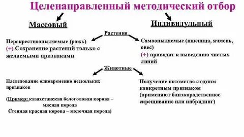 Неласковый отбор