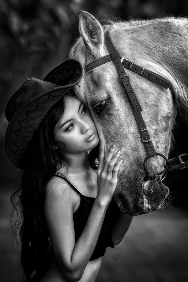 Пин на доске Equine Photography